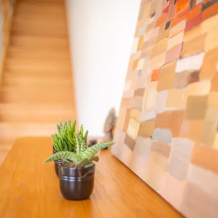 Maison Moderne Et Spacieuse Avec Jardin A *