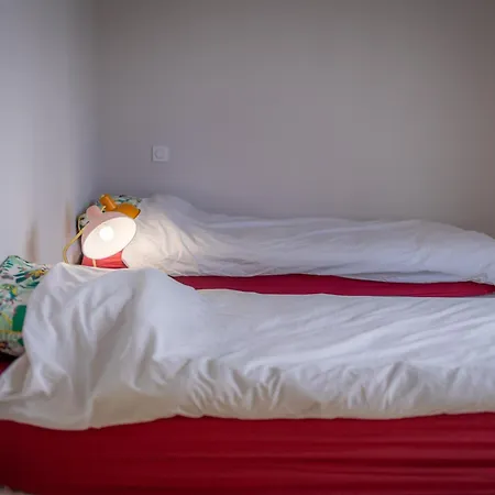 Maison Moderne Et Spacieuse Avec Jardin A Pessac