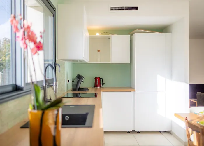 Maison Moderne Et Spacieuse Avec Jardin A Feriehus *