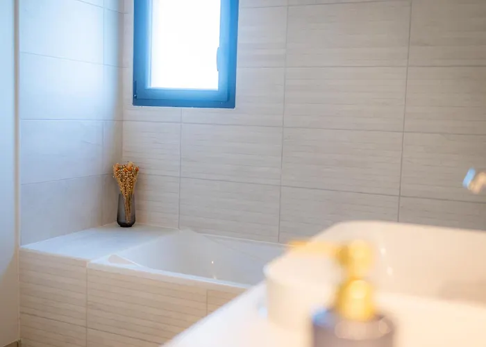 Maison Moderne Et Spacieuse Avec Jardin A Pessac