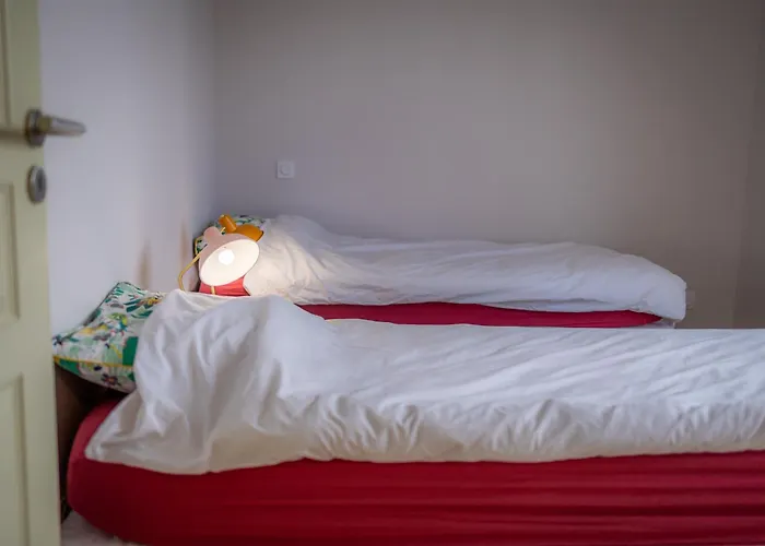 Maison Moderne Et Spacieuse Avec Jardin A Pessac